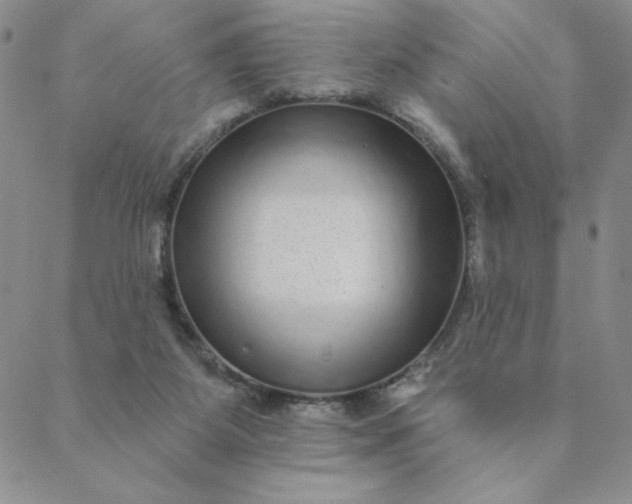 X0000088630115200706081557