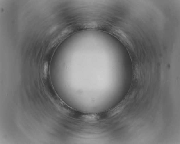 X0000088630118200706081557