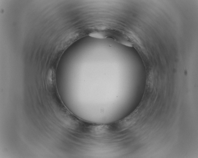 X0000088630122200706081556