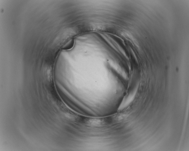 X0000088630123200706081556