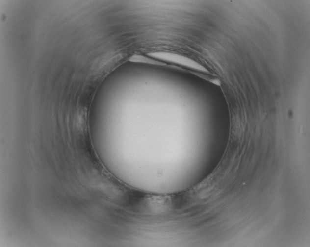 X0000088630126200706081556