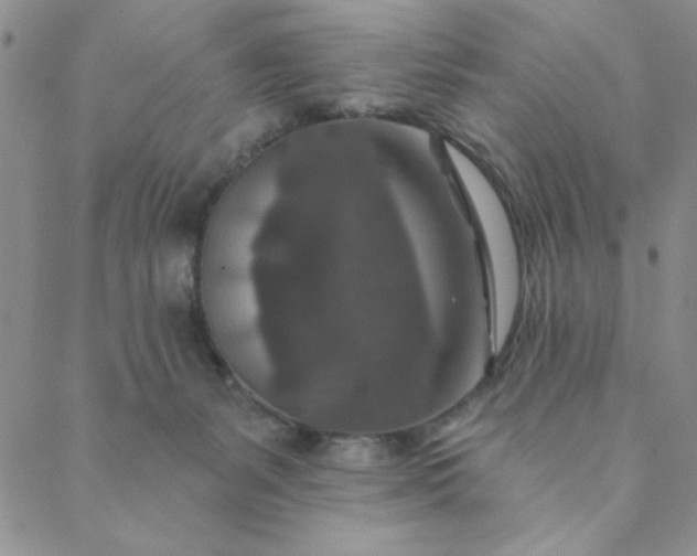 X0000088630127200706081556