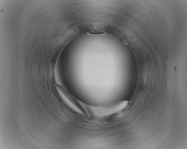 X0000088630129200706081556