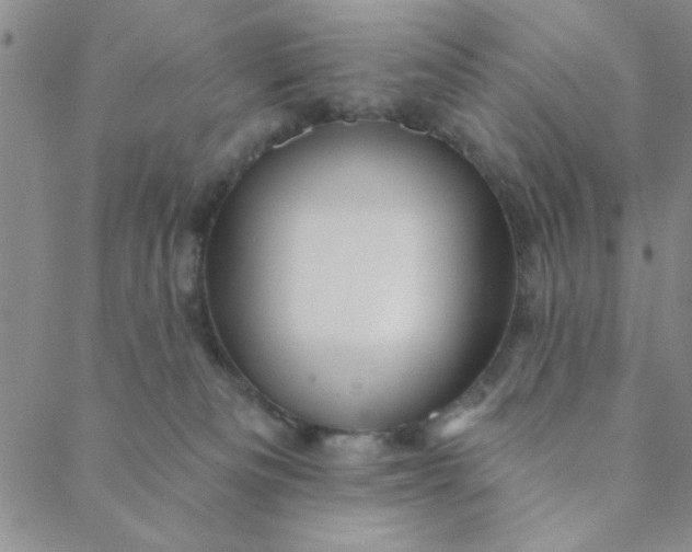 X0000088630133200706081556