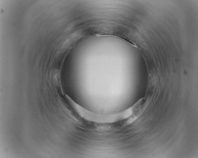 X0000088630141200706081556