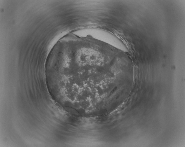 X0000088630147200706081555