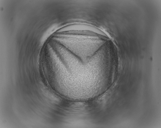 X0000088630151200706081555