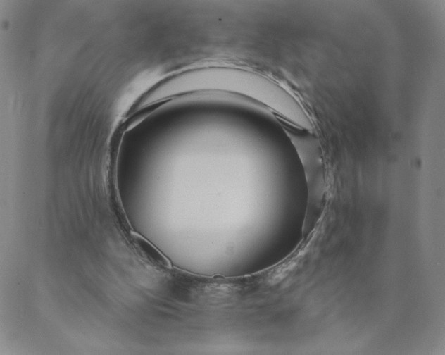 X0000088630152200706081555