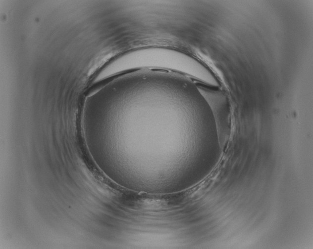 X0000088630154200706081555