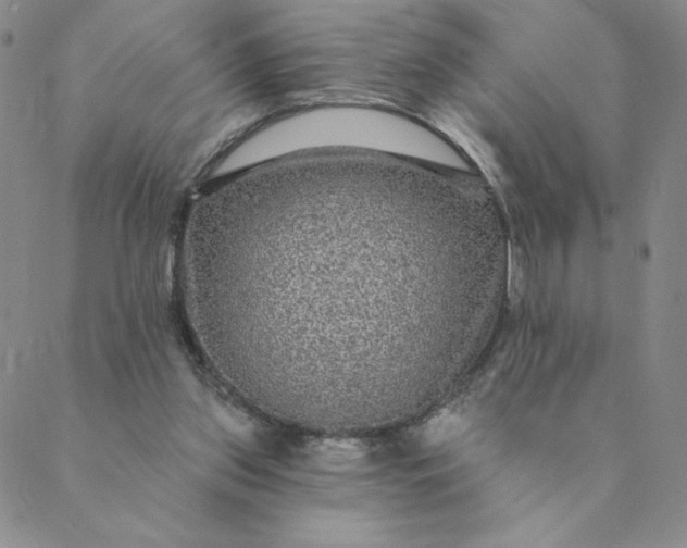 X0000088630157200706081556