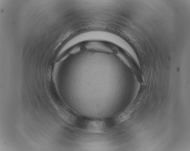 X0000088630168200706081556
