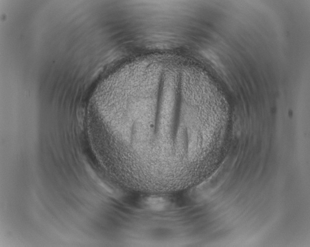 X0000088630171200706081556
