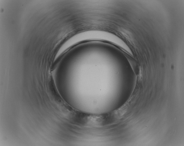 X0000088630172200706081556