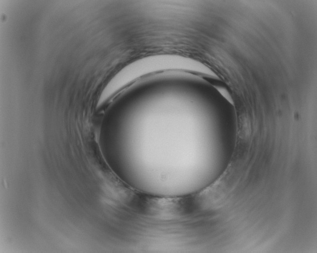 X0000088630184200706081556