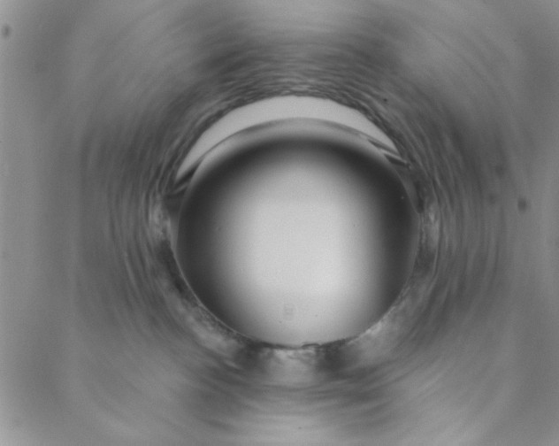 X0000088630188200706081556