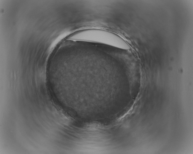 X0000088630200200706081555