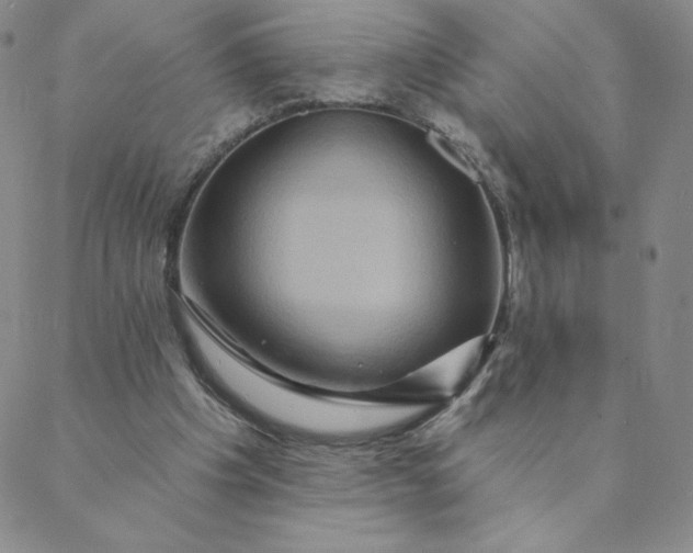 X0000088630201200706081555