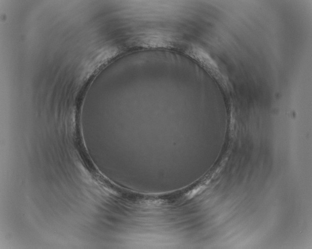 X0000088630202200706081555