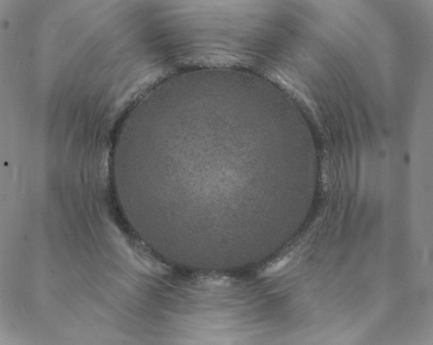 X0000088630206200706081555