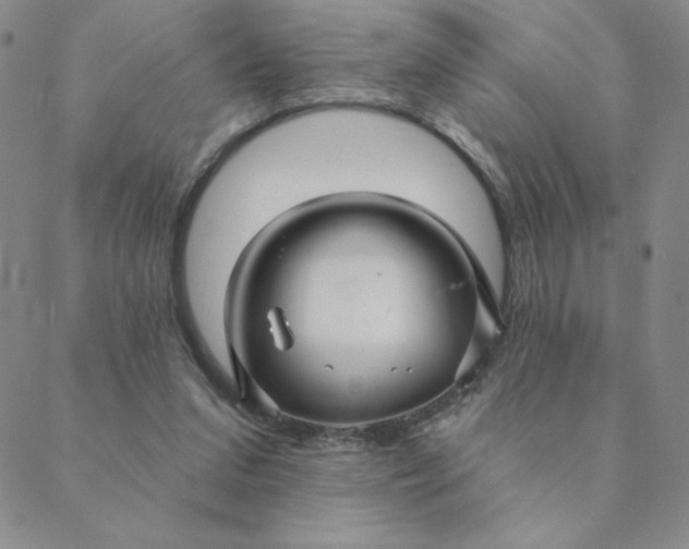 X0000088630207200706081555
