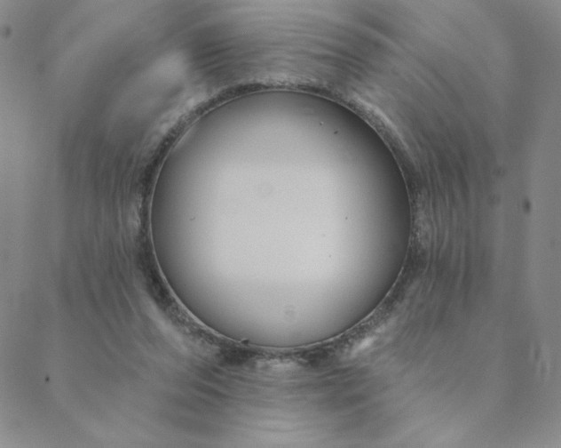 X0000088630208200706081555