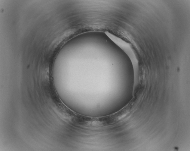 X0000088630212200706081555
