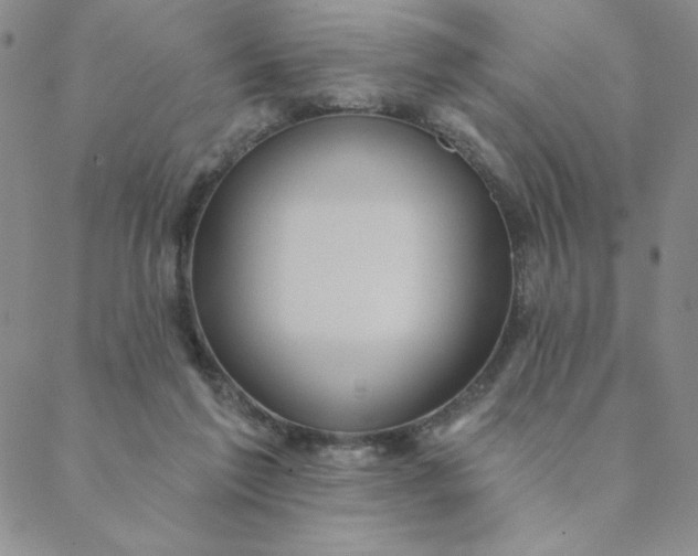 X0000088630213200706081555