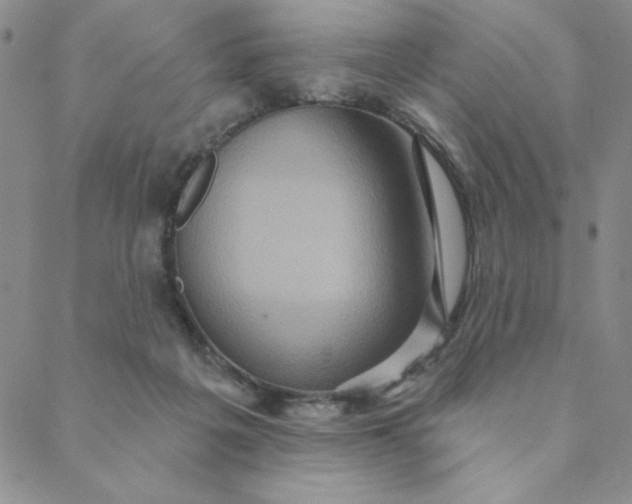 X0000088630217200706081555