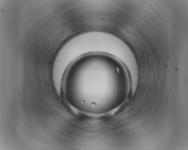 X0000088630219200706081555
