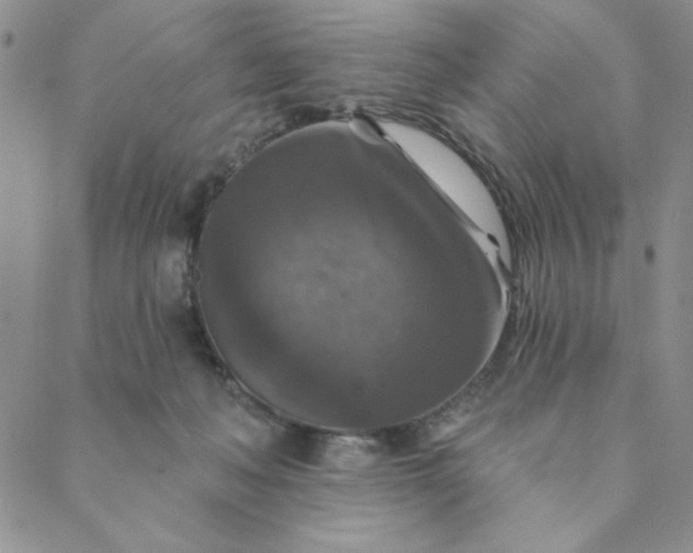 X0000088630222200706081555