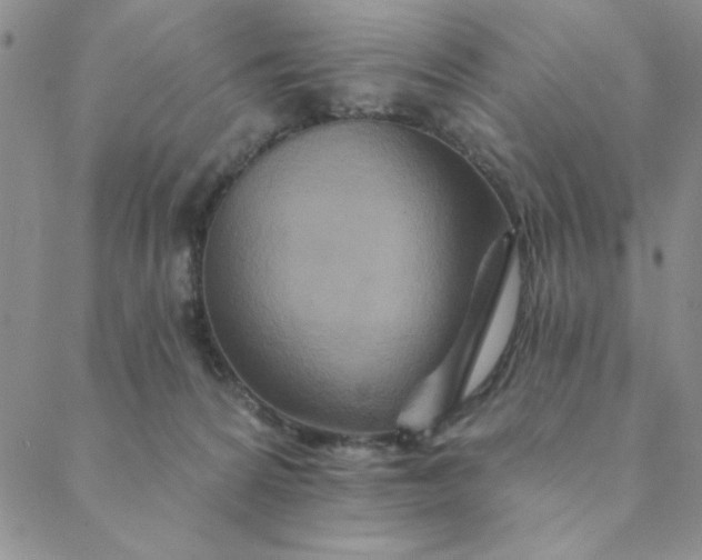 X0000088630224200706081555