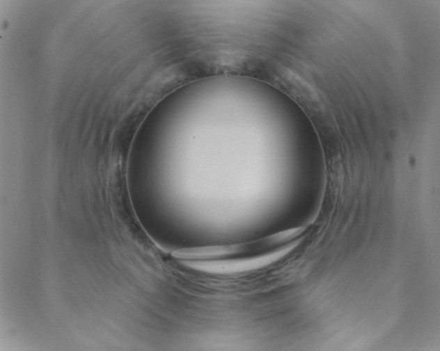 X0000088630225200706081555