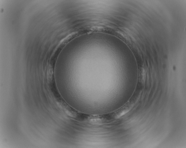 X0000088630228200706081555