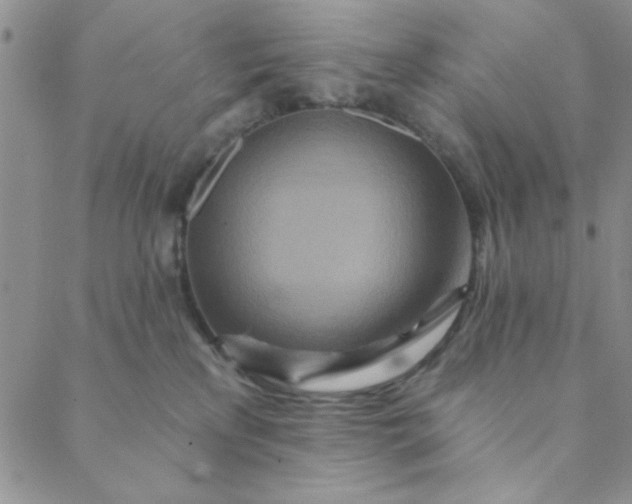 X0000088630233200706081555