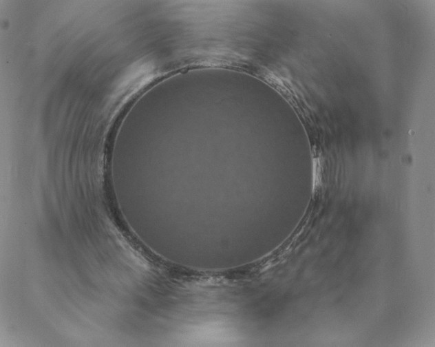 X0000088630243200706081554