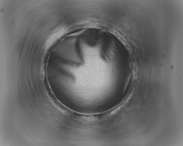 X0000088630245200706081554