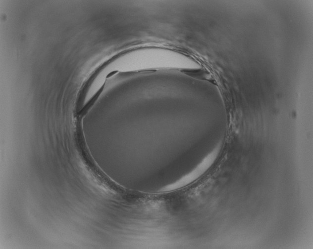 X0000088630247200706081554