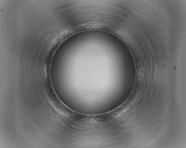 X0000088630254200706081554
