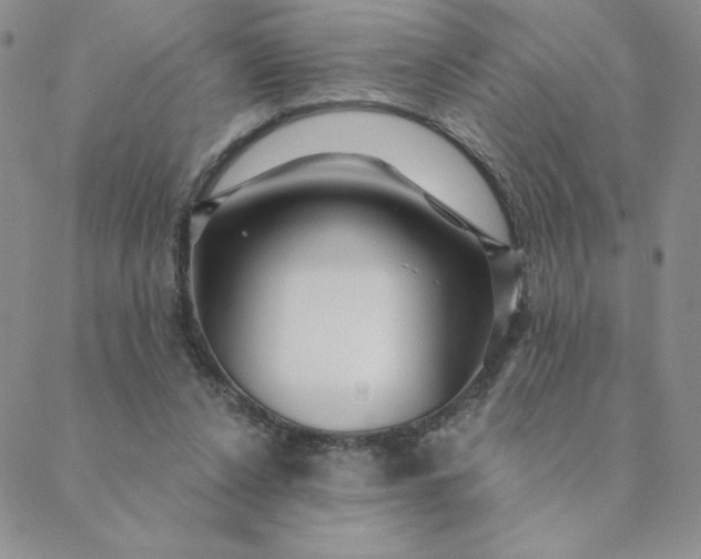 X0000088630256200706081554