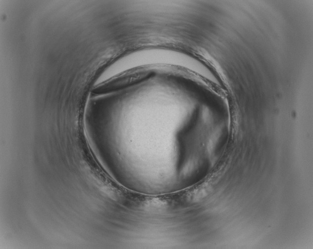 X0000088630257200706081554