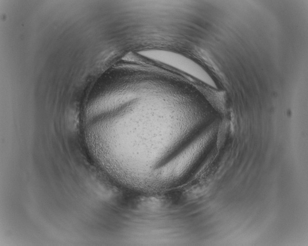 X0000088630259200706081554