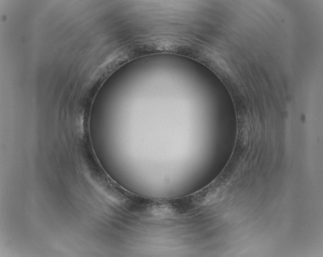 X0000088630262200706081554