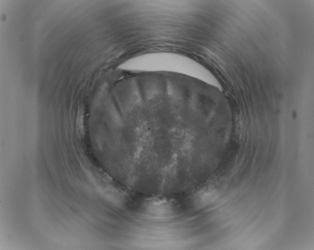 X0000088630267200706081554