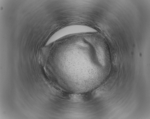 X0000088630273200706081554