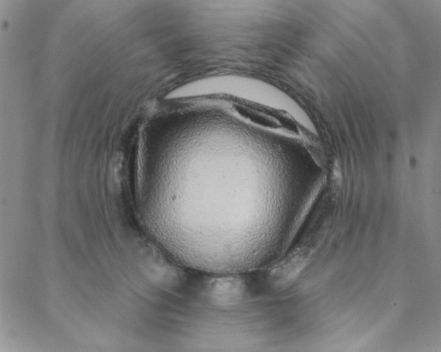 X0000088630275200706081554