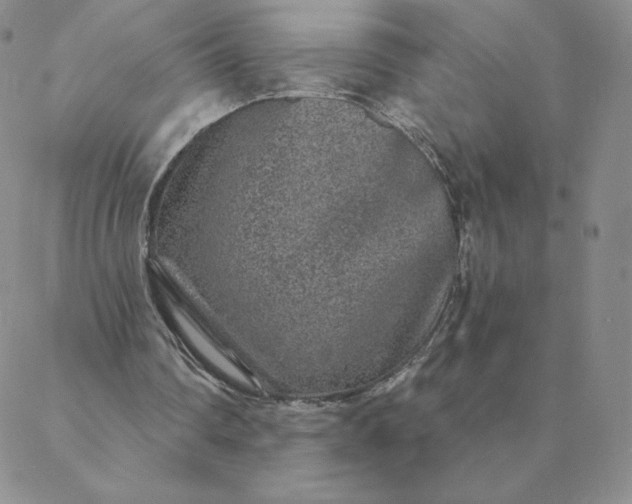 X0000088630290200706081554