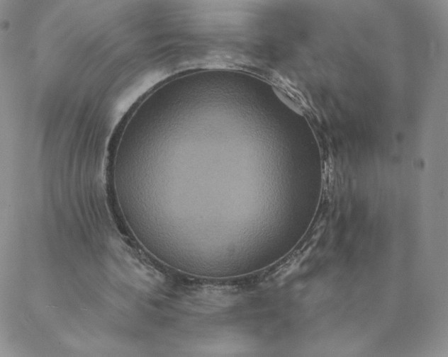 X0000088630292200706081554