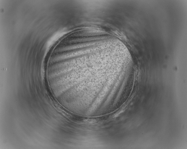 X0000088630294200706081554