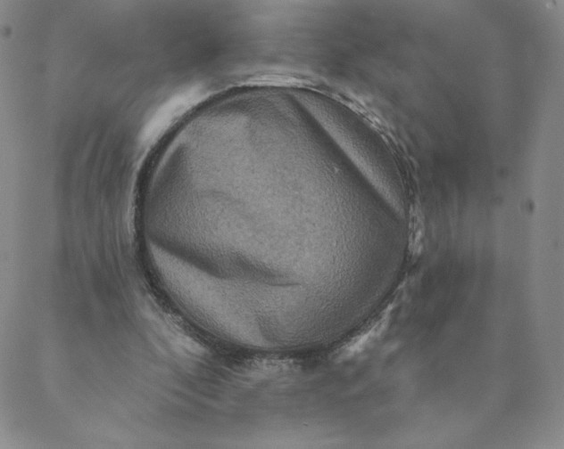 X0000088630296200706081554