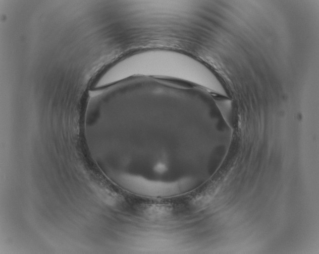 X0000088630303200706081554